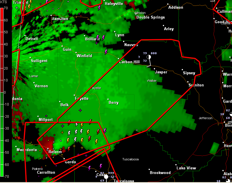 Tornado Warning: Fayette, Pickens, Tuscaloosa, Walker  (Includes Jasper)