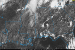 Muggy Days; Scattered Storms