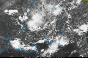 Humid Summer Days With Scattered Storms