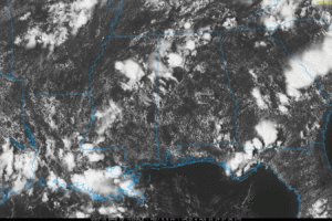 Hot, Humid, Random Storms