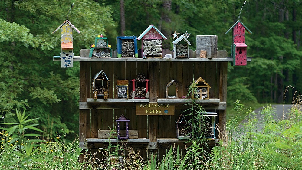 Dream Homes For Pollinators Welcome Beneficial Insects To Your Neighborhood The Alabama