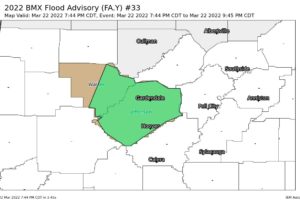 EXPIRED — FLOOD ADVISORY: Parts of Jefferson, Walker Co. Until 9:45 pm