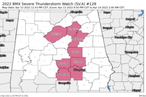 A Couple of Counties Removed from Severe T-Storm Watch