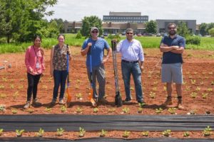 Alabama NewsCenter — Alabama researchers focus on peanut genome to improve harvests