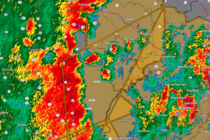 EXPIRED Severe T-Storm Warning — Parts of Fayette, Tuscaloosa, Walker Co. Until 8 pm