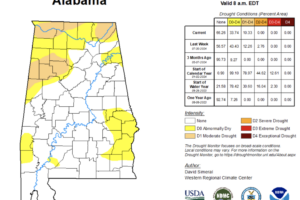 Midday Nowcast: Improvements in the Drought across Alabama