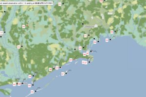 Winds Beginning to Gust to Tropical Storm Force Along the Coast