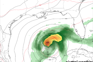 A Look at Current Model Data for The Gulf of Mexico