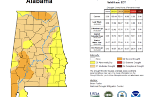 Midday Nowcast: Some Showers, Widespread Drought, and Tropical Mischief