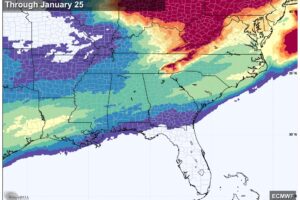 Rain Saturday; Very Cold Sunday Through Next. Week