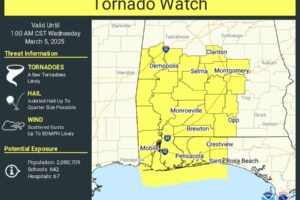 Tornado Watch Issued for Portions of South & West Alabama